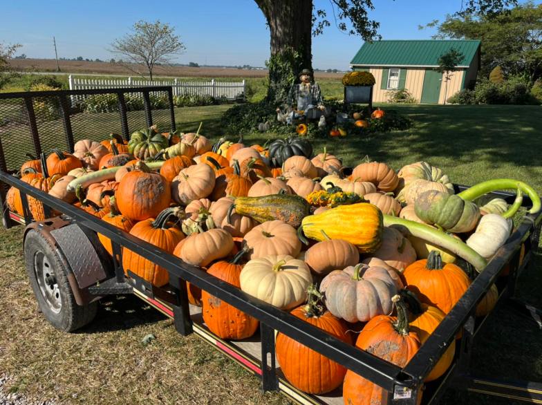 Pumpkin Blossom Hill