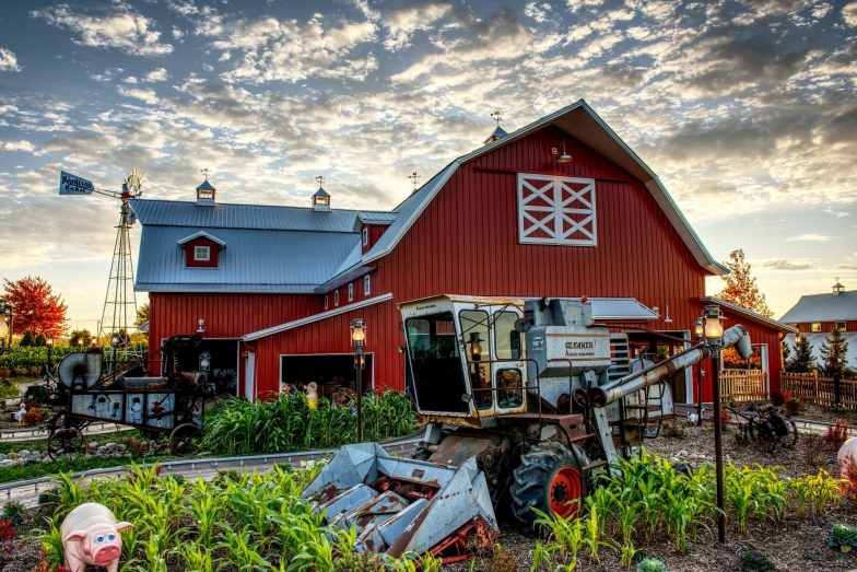 Rides, eats, treats, and farm friends