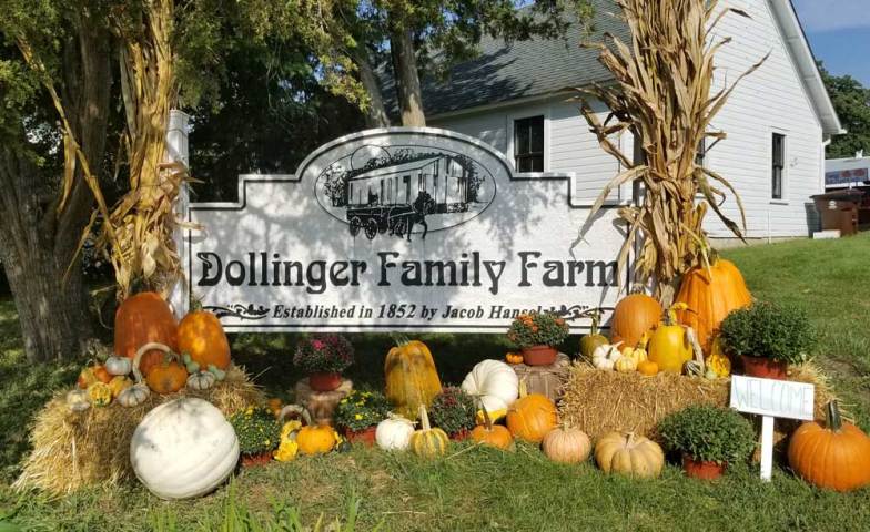A fall tradition to start in your family
