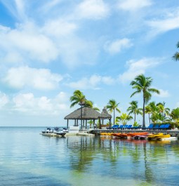 seashore with boats docked and palm trees right on shore