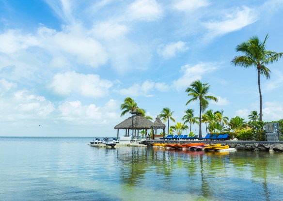 seashore with boats docked and palm trees right on shore
