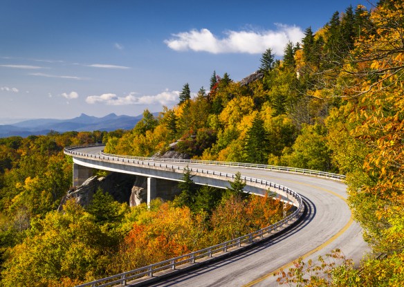 winding road with gold and red hued foliage